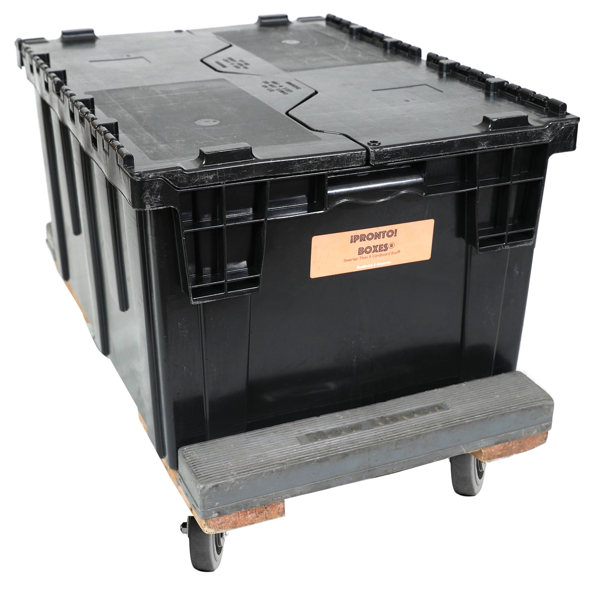 Extra Large Pronto Box